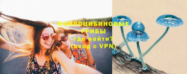 мяу мяу мука Алзамай
