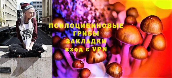 сатива Алексеевка
