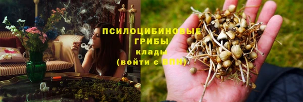 сатива Алексеевка