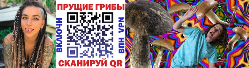 kraken   Лесной  Псилоцибиновые грибы Psilocybe 
